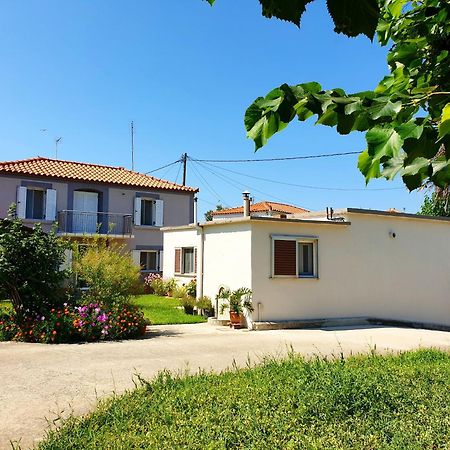 Repanidi Apartment D / Ρεπανίδι Διαμέρισμα Δ Repanidhion المظهر الخارجي الصورة