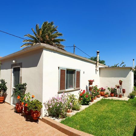 Repanidi Apartment D / Ρεπανίδι Διαμέρισμα Δ Repanidhion المظهر الخارجي الصورة