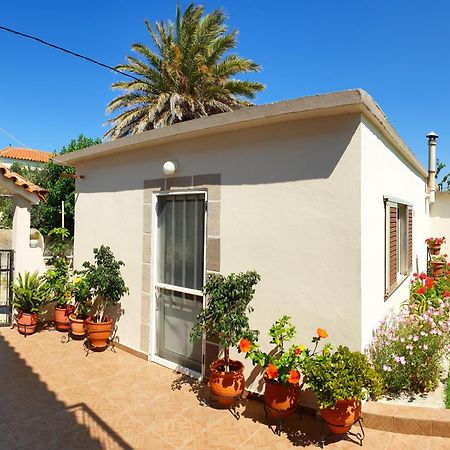 Repanidi Apartment D / Ρεπανίδι Διαμέρισμα Δ Repanidhion المظهر الخارجي الصورة
