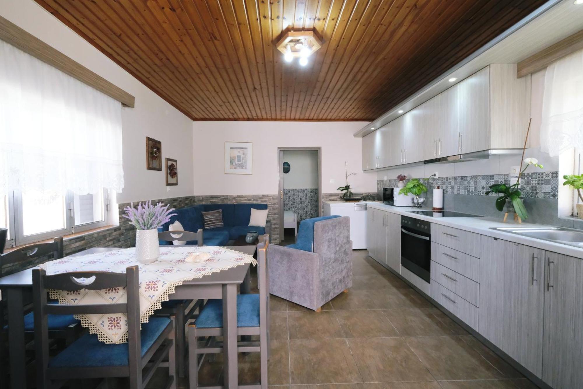 Repanidi Apartment D / Ρεπανίδι Διαμέρισμα Δ Repanidhion المظهر الخارجي الصورة