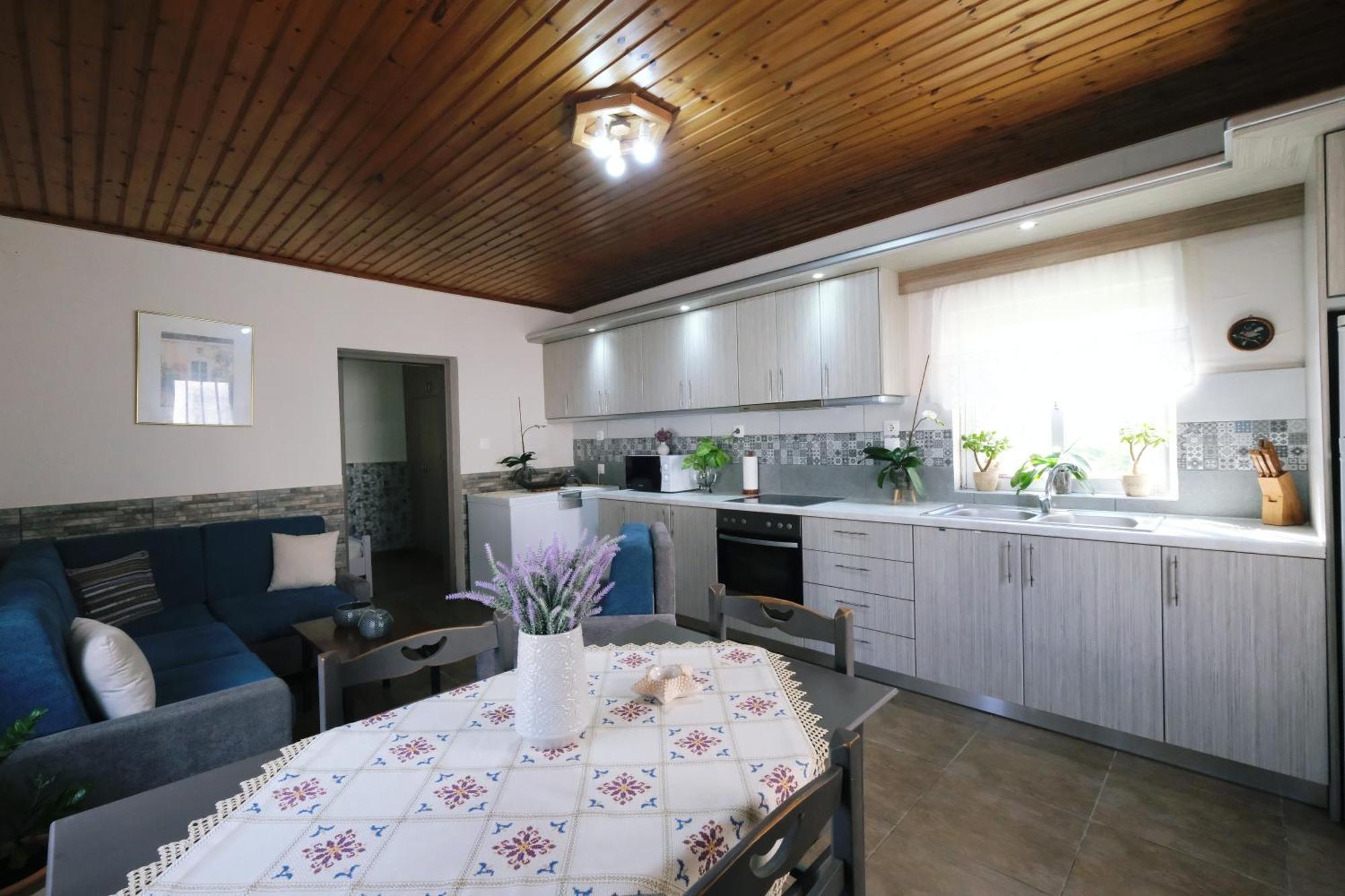 Repanidi Apartment D / Ρεπανίδι Διαμέρισμα Δ Repanidhion المظهر الخارجي الصورة
