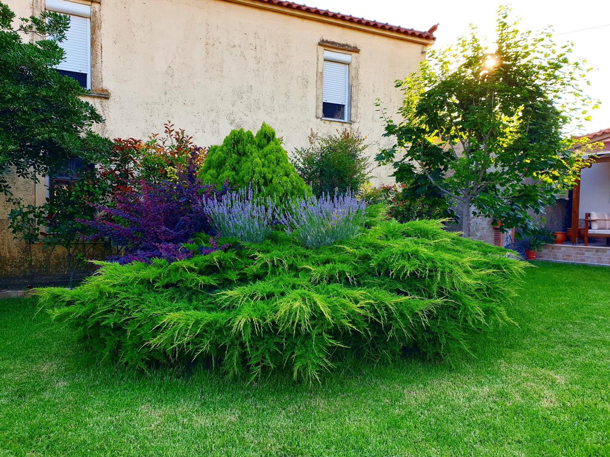 Repanidi Apartment D / Ρεπανίδι Διαμέρισμα Δ Repanidhion المظهر الخارجي الصورة