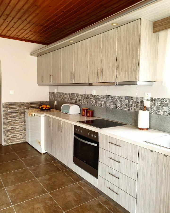 Repanidi Apartment D / Ρεπανίδι Διαμέρισμα Δ Repanidhion المظهر الخارجي الصورة