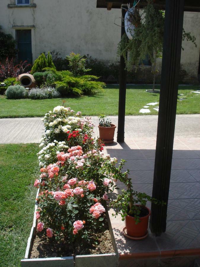 Repanidi Apartment D / Ρεπανίδι Διαμέρισμα Δ Repanidhion المظهر الخارجي الصورة