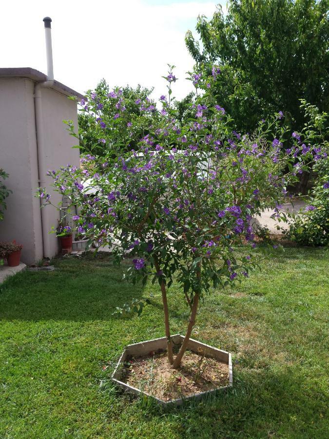 Repanidi Apartment D / Ρεπανίδι Διαμέρισμα Δ Repanidhion المظهر الخارجي الصورة