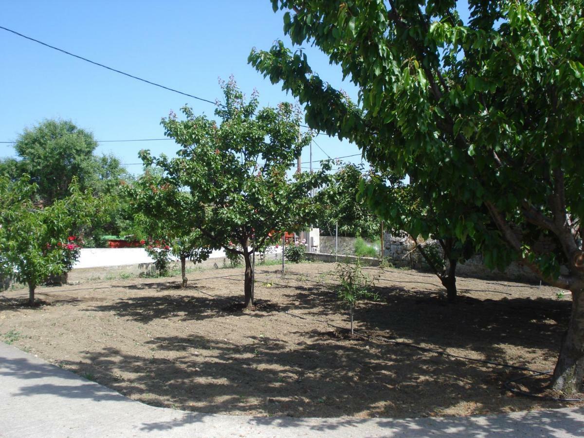 Repanidi Apartment D / Ρεπανίδι Διαμέρισμα Δ Repanidhion المظهر الخارجي الصورة