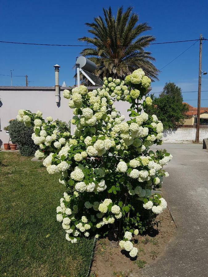 Repanidi Apartment D / Ρεπανίδι Διαμέρισμα Δ Repanidhion المظهر الخارجي الصورة